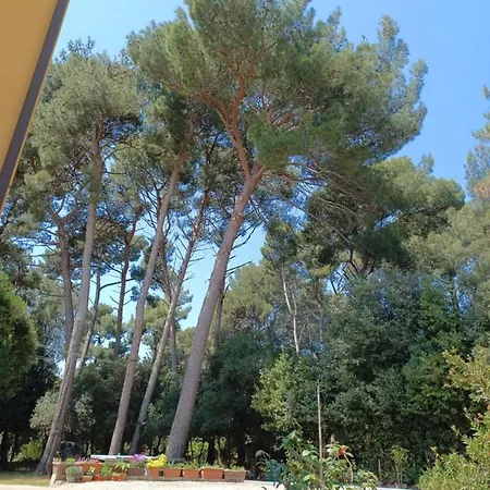 Studio Seka Apartman