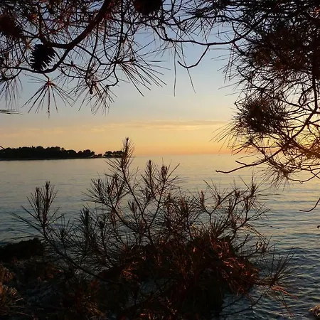 Studio Seka Apartman