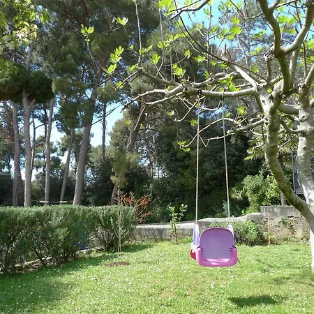 Studio Seka Apartman *