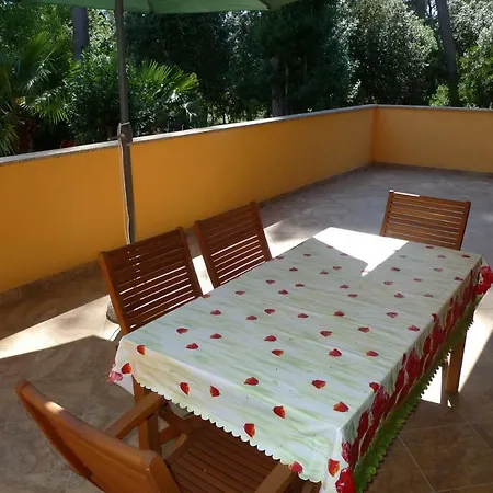 Apartman Studio Seka *