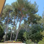 Studio Seka Lejlighed