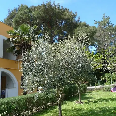 Studio Seka Rovinj