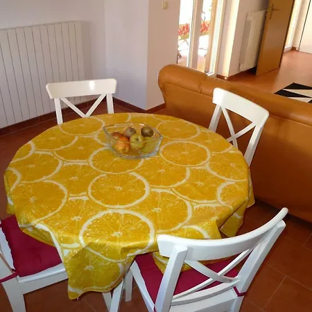 Studio Seka Rovinj