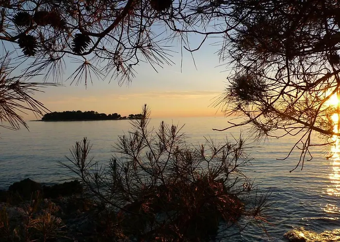 Studio Seka Apartment