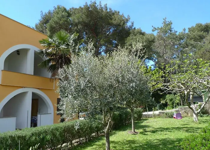 Studio Seka Rovinj